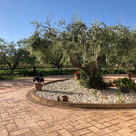 B&B Villa Eden 오르토나 외부 사진